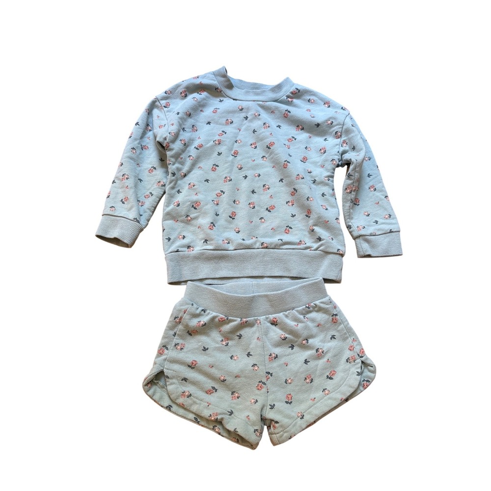Peek Kids Sweatshirt and Shorts Set Toddler Sage Green Floral‎ 22SFW55557 SIZE 2